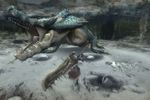 Monster Hunter Tri - 4
