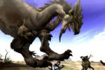 Monster Hunter Tri (6)