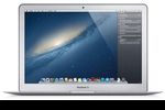 Mountain-Lion