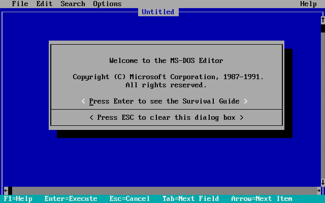 MS-DOS 1991