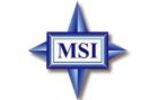 MSI logo (Small)