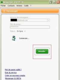 Msn 8 0 beta