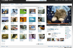MSN Soapbox
