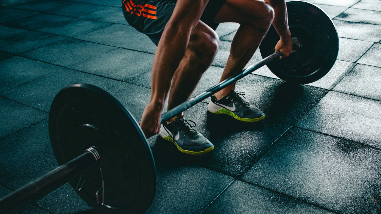 Comment vos muscles se réparent-ils après l'effort ?