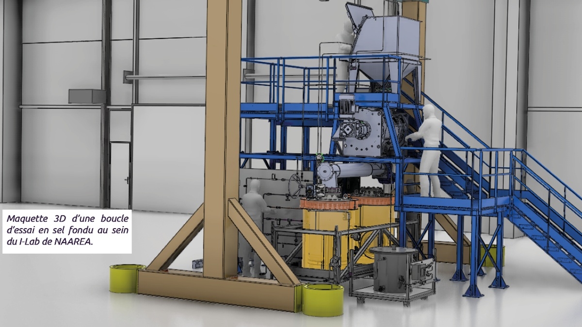 Naarea reacteur nucleaire sels fondus