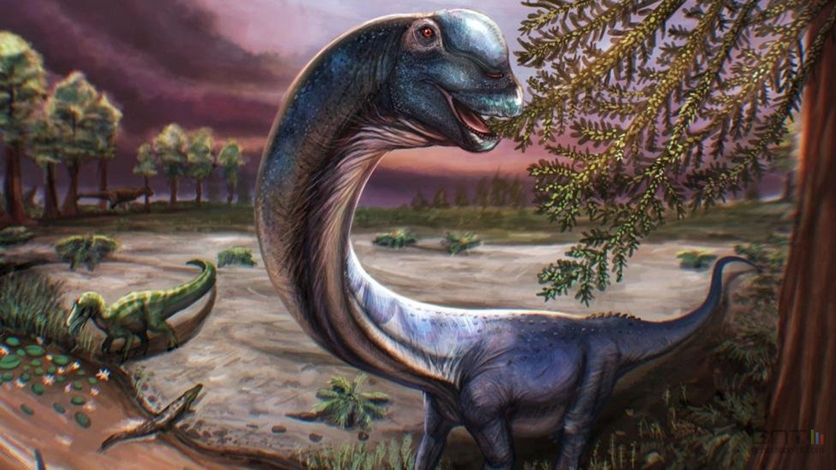Oubliez le diplodocus, le Nagatitan devient le plus grand dinosaure jamais trouvé en Asie du Sud-Est