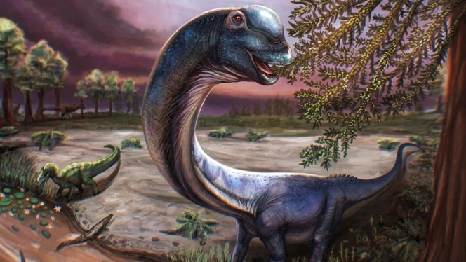 Oubliez le diplodocus, le Nagatitan devient le plus grand dinosaure jamais trouvé en Asie du Sud-Est