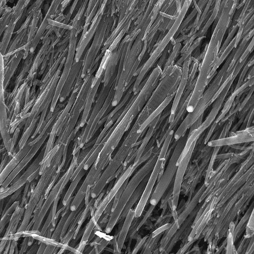 nanofibres carbone