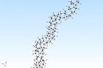 nanofils de diamant