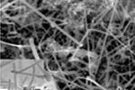 nanofils silicium