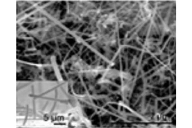 nanofils silicium