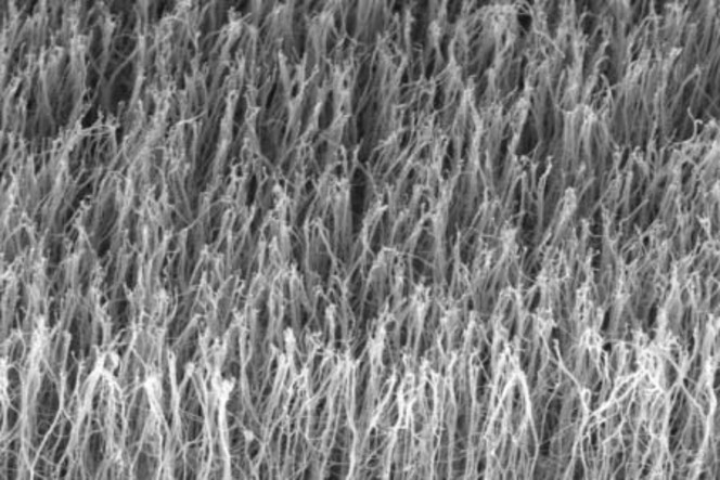 nanotubes de carbone