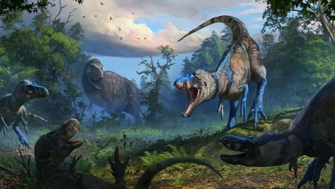 nanotyrannus 02