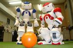 NAO-robot