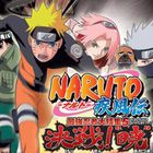 Naruto DS : vidéo
