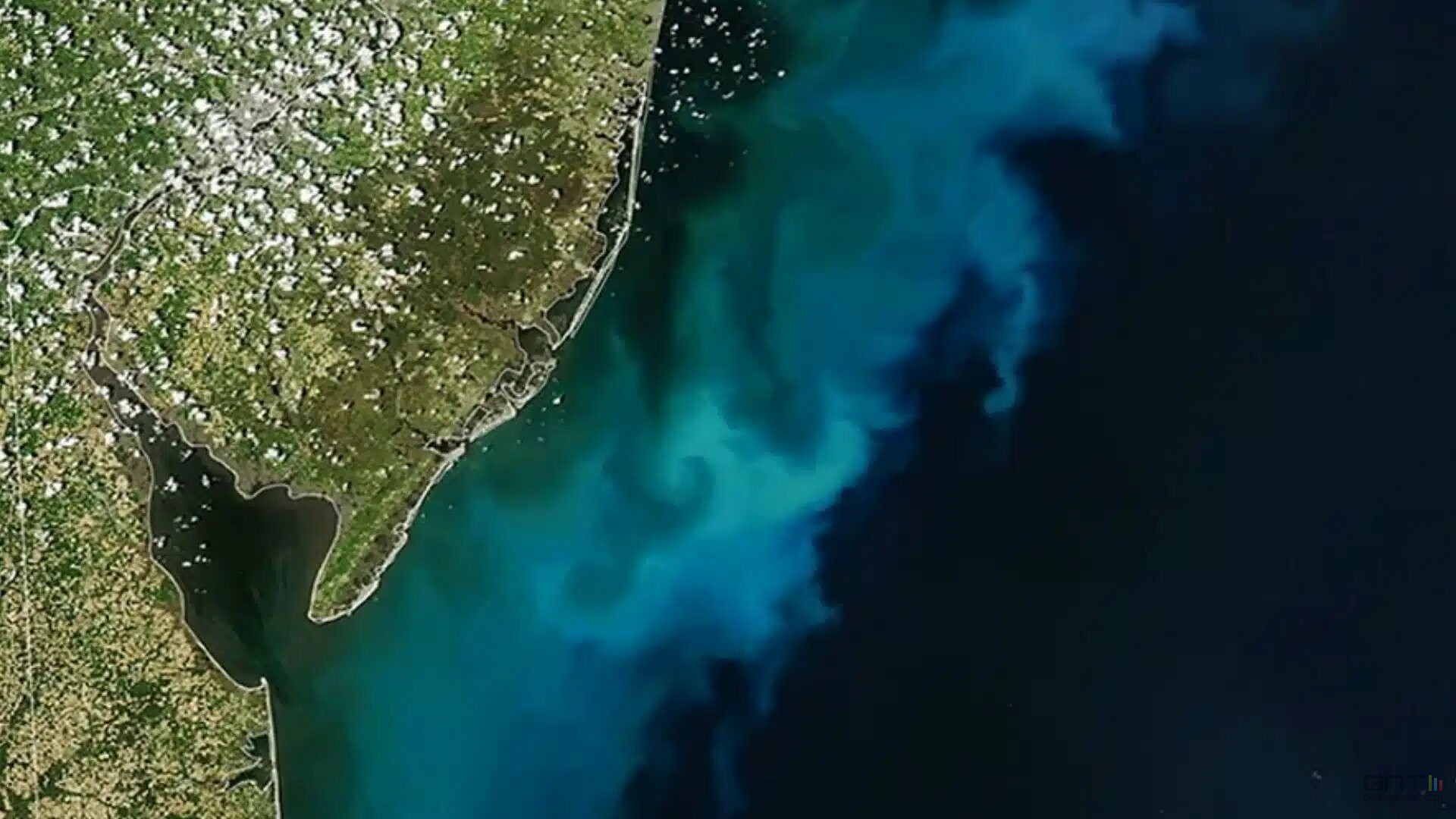 La NASA observe une immense fresque marine au large des États-Unis