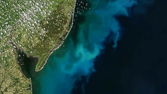 La NASA observe une immense fresque marine au large des États-Unis