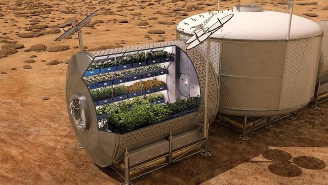 NASA Veggie nourriture mars.