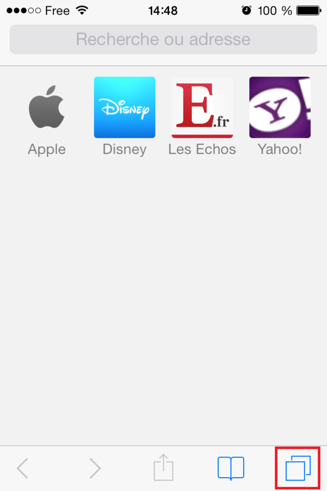 Navigation privée Safari iOS (1)