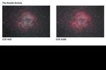 Nebuleuse-de-la-Rosette