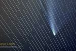 Neowise Starlink