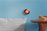 Nest 3