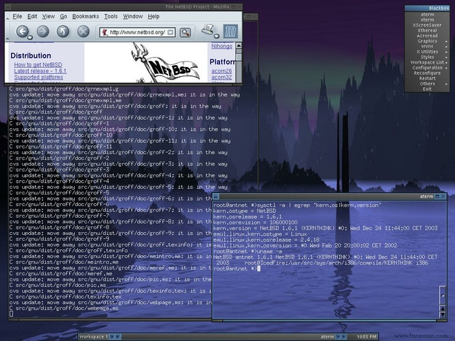 NetBSD screen1