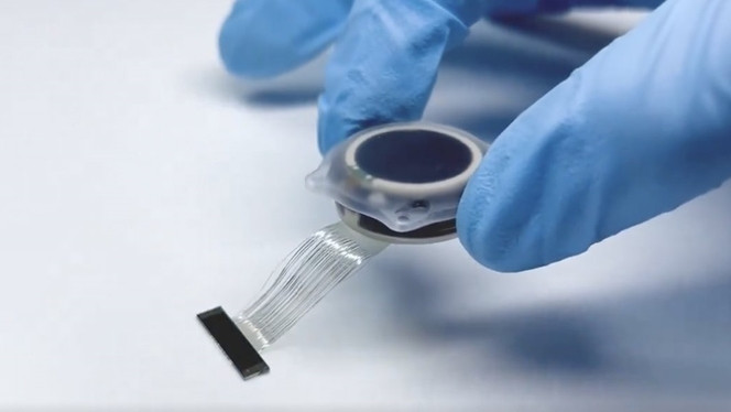 Neuralink implant cerebral