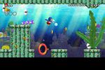 New Super Mario Bros Wii (11)