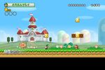 New Super Mario Bros Wii (14)