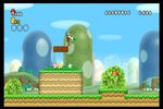 New Super Mario Bros Wii (18)