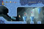 New Super Mario Bros Wii (9)