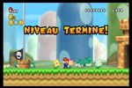 New Super Mario Bros Wii (9)