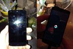 Nexus 5