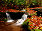 nfsAutumnStream : décorer un PC aux couleurs de l'automne
