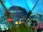 nfsunderwater14 : profiter d'une vue sous marine sur un PC