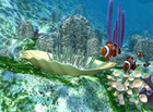 nfsunderwaterlife : une vue sous-marine fabuleuse pour votre PC !