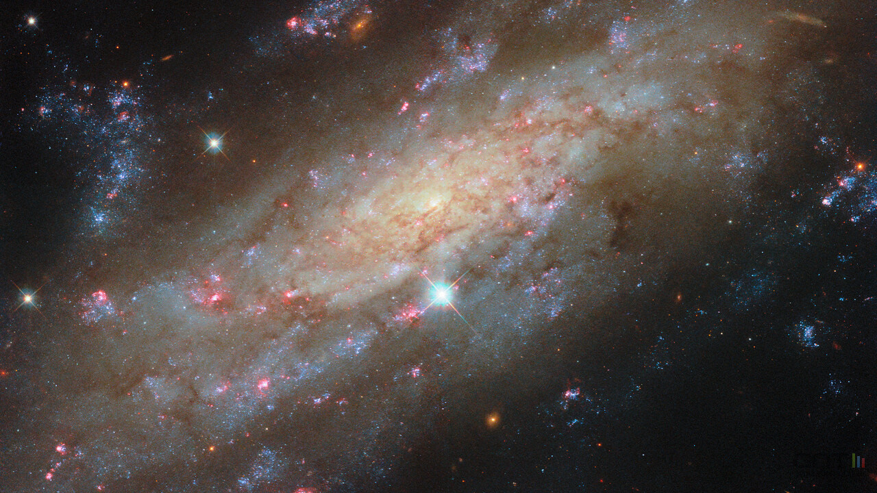 ngc-3137