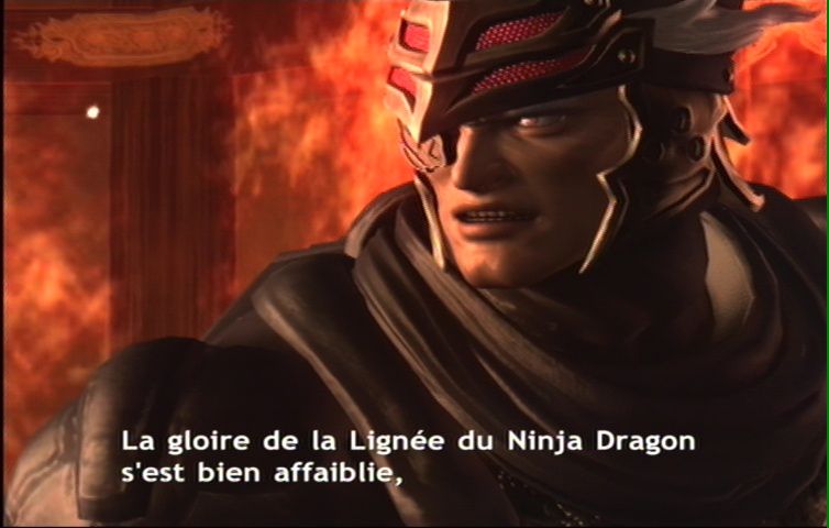 Ninja Gaiden 2 (57)