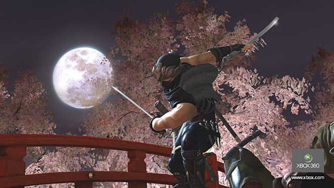 Ninja Gaiden 2   Image 18