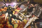 Ninja Gaiden 2 - Image 20