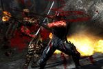 Ninja Gaiden 3 (7)