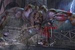 Ninja Gaiden II 9
