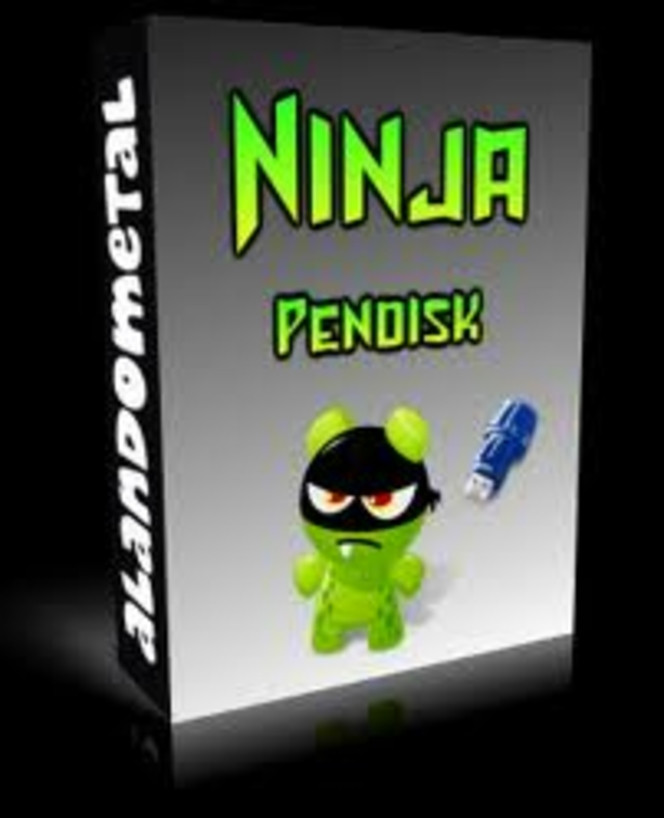 Ninja Pendisk.