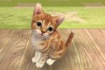 Nintendogs + cats