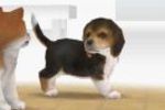Nintendogs (Small)