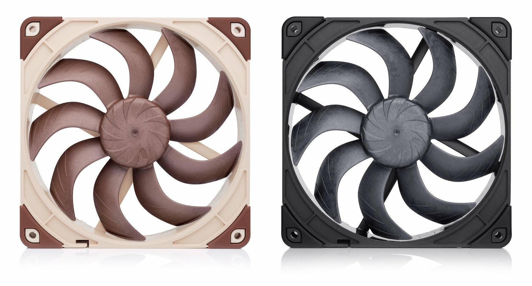 Noctua_02
