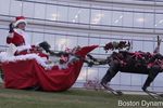 Noel Boston Dynamics