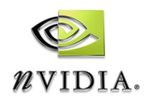 nvidia (Small)