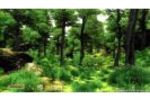 oblivion PS - image1 (Small)